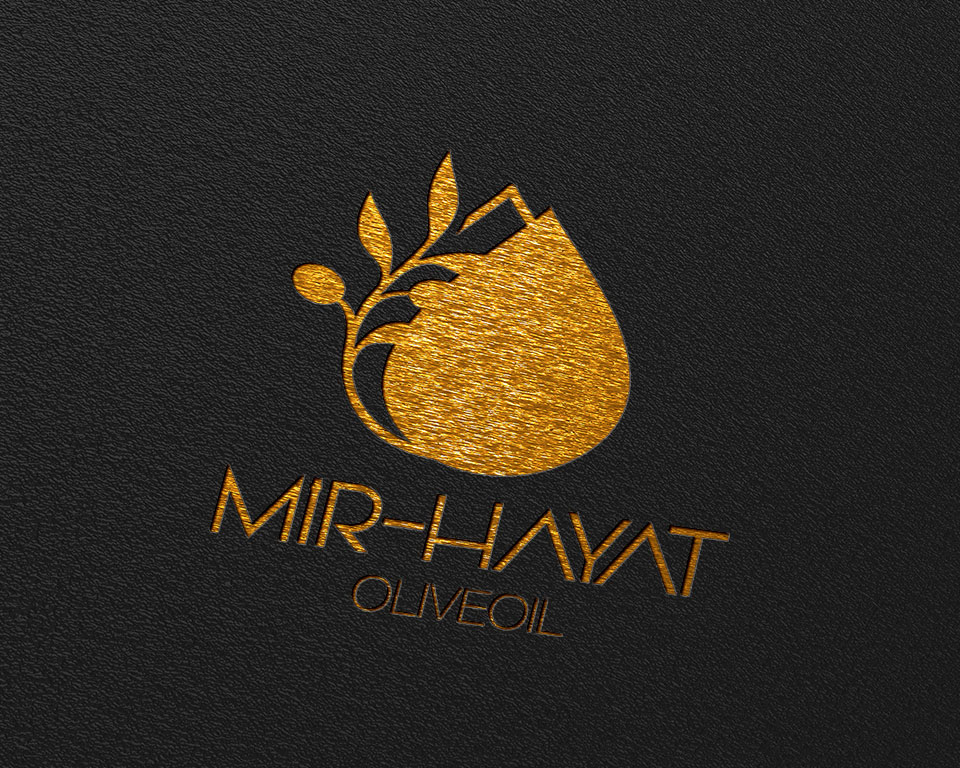 MirHayat Logo Çalışması